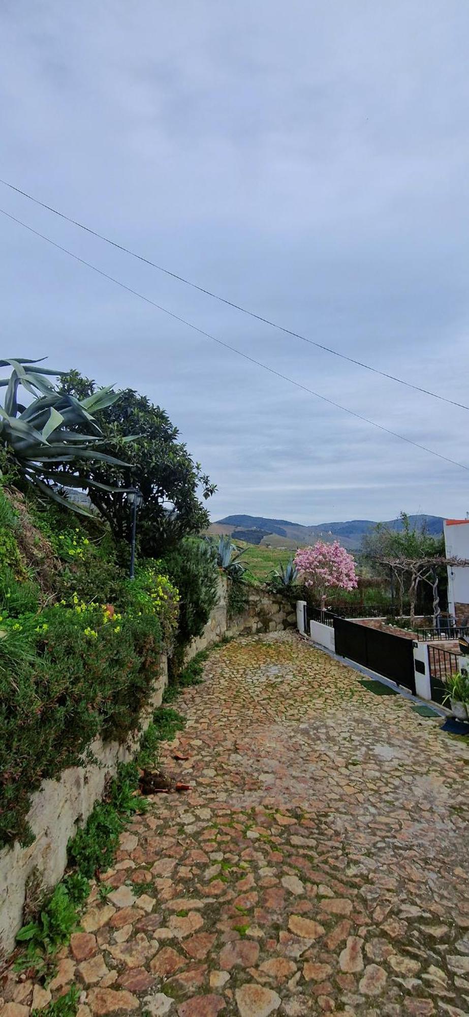 Casa Rodrigues Vila Pinhão Exterior foto